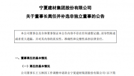 寧夏建材多位高管變動！董事長王玉林因工作調整離任！